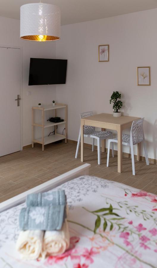 Loc Trotteur Le Pivoine Studio Grand Confort, Gare Sncf De Lourdes Eksteriør billede