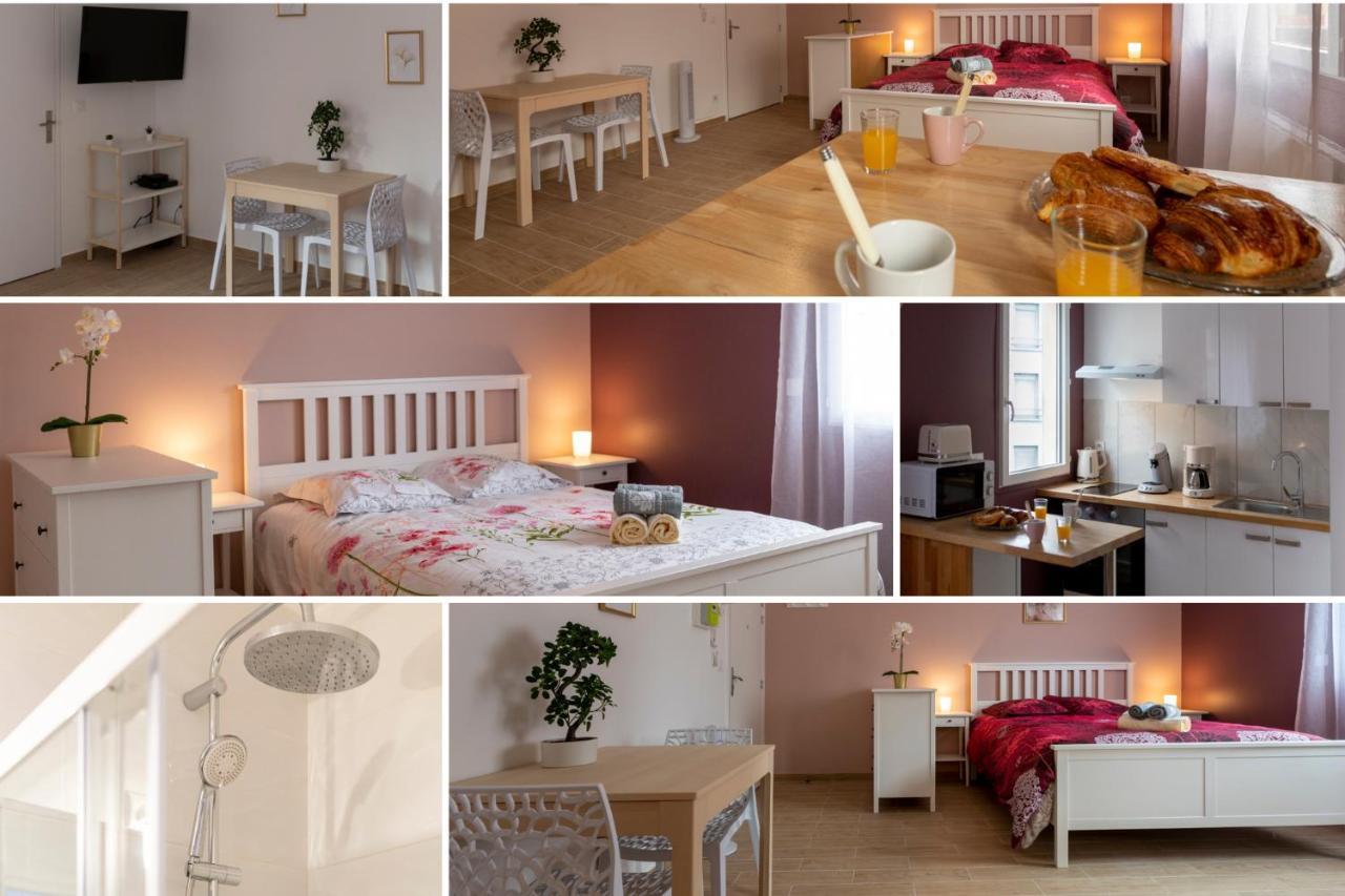 Loc Trotteur Le Pivoine Studio Grand Confort, Gare Sncf De Lourdes Eksteriør billede