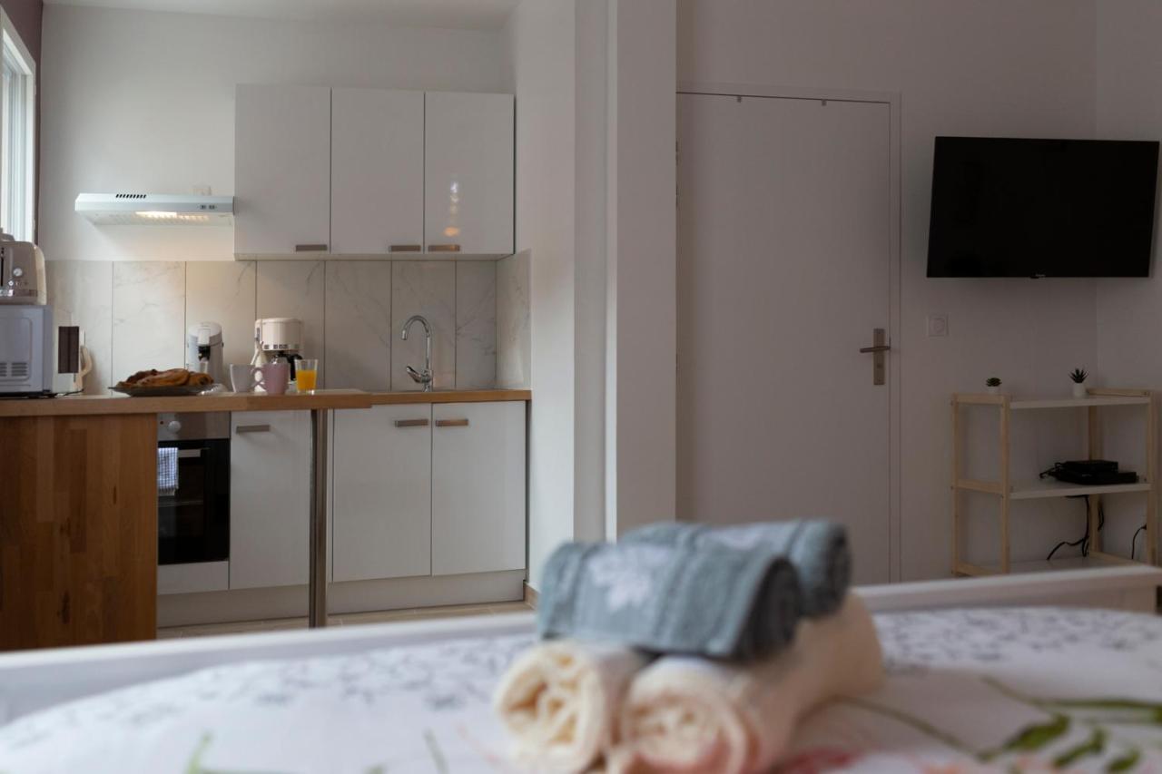 Loc Trotteur Le Pivoine Studio Grand Confort, Gare Sncf De Lourdes Eksteriør billede