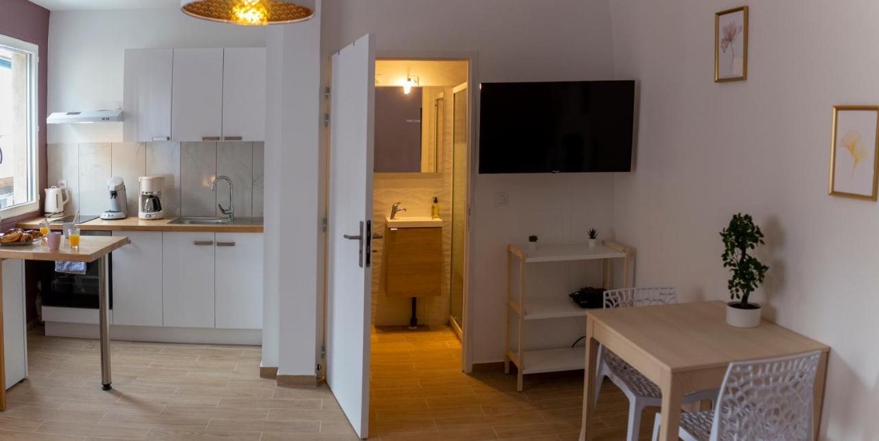 Loc Trotteur Le Pivoine Studio Grand Confort, Gare Sncf De Lourdes Eksteriør billede